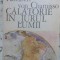 CALATORIE IN JURUL LUMII-ADELBERT VON CHAMISSO-276200