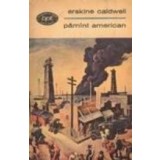 Pamint american - Povestiri