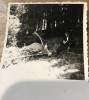 Fotografii Pojorata Suceava