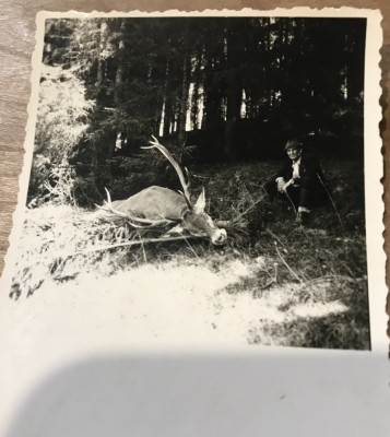 Fotografii Pojorata Suceava foto