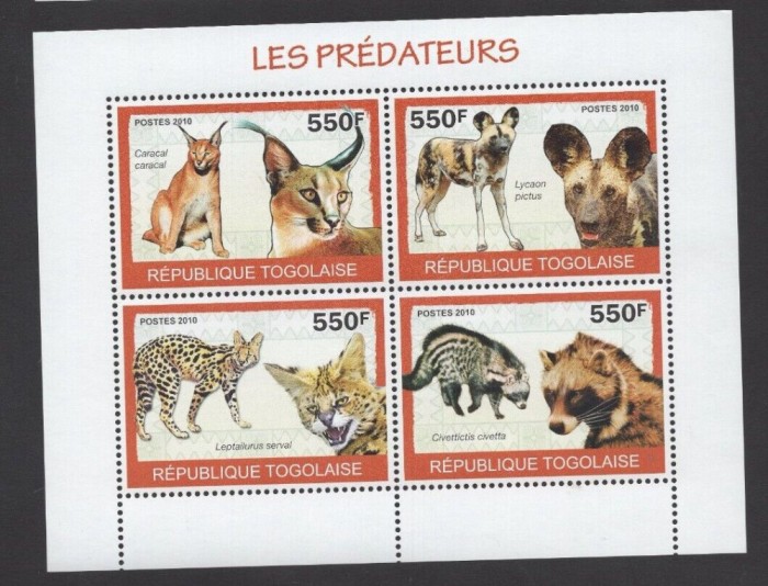 TOGO 2010 FAUNA ANIMALE SALBATICE PRADATOARE