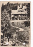 AMS - ILUSTRATA 1355, LACUL ROSU (GHILCOS), ANUL 1955, cu perforari