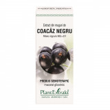 Extract din muguri de coacaz negru, 50ml, PlantExtrakt