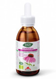 Extract BIO de echinacea, 50ml cu picurator, Phyto-Biop&ocirc;le