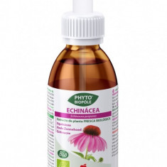 Extract BIO de echinacea, 50ml cu picurator