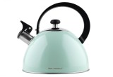 Cumpara ieftin Fierbator de ceai FLORINA din otel inoxidabil, 2.5 L, verde - RESIGILAT