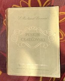 Puskin si Ceaikovski / E. Berliand-Cernaia