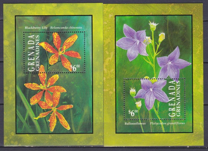 DB1 Flora Orhidee Grenada Grenadines 2 x SS MNH