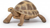 Figurina - Wild Animal Kingdom - Hermann&#039;s Tortoise | Papo