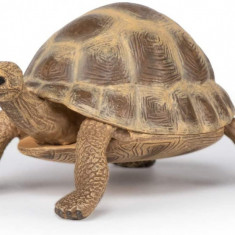 Figurina - Wild Animal Kingdom - Hermann's Tortoise | Papo