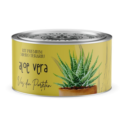 Kit Uplift premium, micro terariu cu aloe vera foto