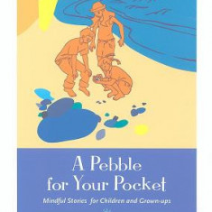 A Pebble for Your Pocket: Mindful Stories for Children and Grown-Ups