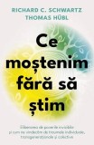 Ce mostenim fara sa stim - Thomas Hubl, Richard C. Schwartz - Carti Dezvoltare Personala Brosata