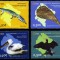 MUNTENEGRU 2011, Fauna, serie neuzata, MNH