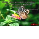 Card magnetic laminat (model 6) - Nu am vazut niciodata o problema care sa nu poata fi rezolvata cu o ora de citit (Charles Montesquieu)