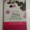 ZEN IN 10 MINUTE - SIOUX BERGER