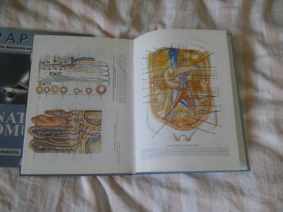 Anatomia omului figuri si planse color ,1998, Papilian , 2 volume, NOI, ed. ALL foto