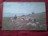 Ilustrata interbelica- Pictura de L.Basarab - Cioban cu oi pe Clabucetul Azugai , stampila speciala verso , Colectia E.Marvan