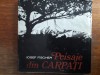 Peisaje din Carpati - Iosef Fischer, Ed. Sport Turism 1980, 97 poze
