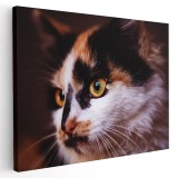 Tablou portret profil pisica Tablou canvas pe panza CU RAMA 20x30 cm