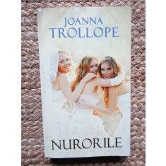 Nurorile &ndash; Joanna Trollope