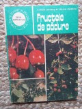 Fructele de padure - Avram Lucescu, Traian Ionescu, 1985