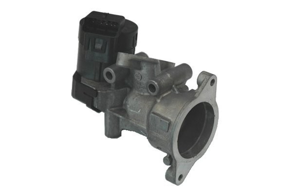 Supapa EGR Peugeot 307 (3a/C), , 308 (4a, 4c), , 407 (6d), , 5008, , 508, , 607 (9d, 9u), , 807 (E), , Expert, motor 2.0 HDI, Delphi EG10312B1