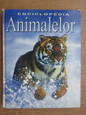 Karen McGhee - Enciclopedia animalelor (2007, format mare, editie cartonata) foto