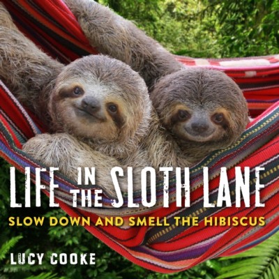 Life in the Sloth Lane: Slow Down and Smell the Hibiscus foto