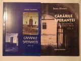 Ileana Silveanu - Cărările speranței: destine ale rezistenței anticomuniste &icirc;n Banat (vol. IX + X/ 9 + 10)