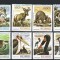 C2437 - Mozambic 1981 - Fauna 8v. neuzat,perfecta stare