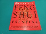 FENG SHUI ESENȚIAL / LILLIAN TOO / 2004 *3