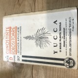 B. Cunostinte folositoare Yucca