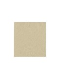 Material Imitatie Piele Autoadeziv 150x100cm, Bej