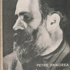 PETRE PANDREA - BRANCUSI AMINTIRI SI EXEGEZE