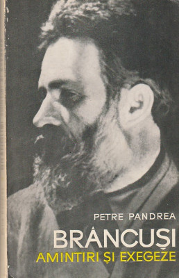 PETRE PANDREA - BRANCUSI AMINTIRI SI EXEGEZE foto