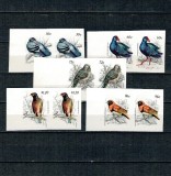 Aitutaki 1984 - Păsări, perechi nedantelate erori/probe, inscripție lipsa