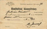 A4626N Himlőolt&aacute;si bizony&iacute;tv&aacute;ny, St&aacute;jerlakanina, 1914/Certificat de vaccinare antivariolică, Anina, 1914