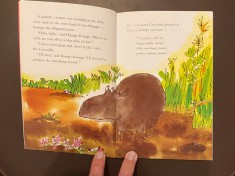 The Enormous Crocodile, Rohald Dahl, carte in lb Engleza foto