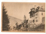 CPIB 16529 CARTE POSTALA - SINAIA. VEDERE, RPR, LIBRARIA NOASTRA