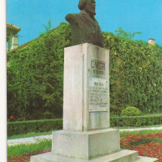 Carte Postala veche - Targu Ocna - Bustul lui C. Negri , necirculata