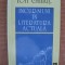 Ion Simut - Incursiuni in literatura actuala