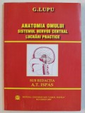 ANATOMIA OMULUI - SISTEMUL NERVOS CENTRAL - LUCRARI PRACTICE de G. LUPU , sub redactia lui ALEX . T. ISPAS , 2007, 20007 *PREZINTA HALOURI DE APA