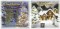 Various - O, Brad Frumos, CD - 7