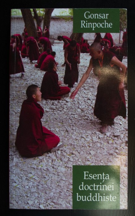 Gonsar Rinpoche - Esența doctrinei buddhiste. Calea spre trezie