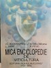 Mica Enciclopedie Viticultura - I.C. Alexandrescu, L. Jianu, 1994. Carte Agronomie