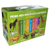 Prima mea biblioteca ilustrata (8 carticele). Animale |, Litera