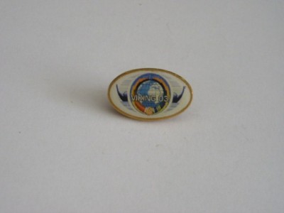 QW9 N2 30 - insigna - militar - misiunea VIKING 03 foto