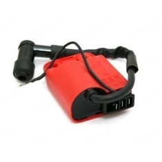 Aprindere CDI Piaggio Zip Gilera Vespa 3 Pini