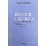 Exercitii de indoiala. Eseuri si alte texte - 1999 - Val Condurache ($Z4)